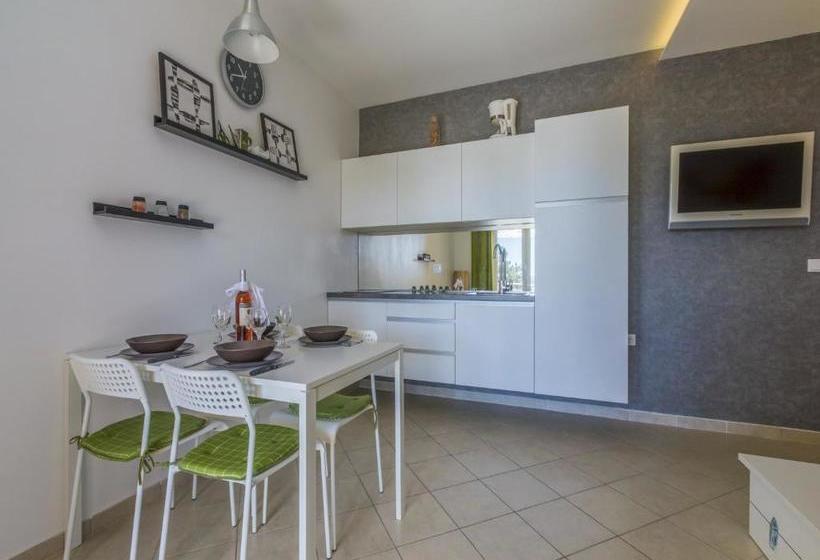 Apartment Color Green