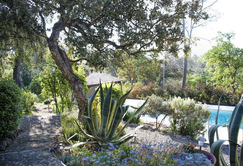 Bed and Breakfast La Garriniere