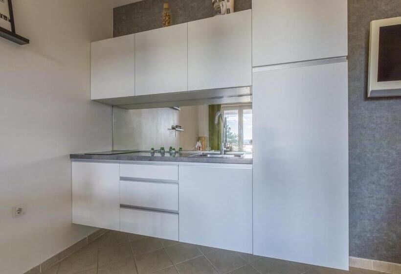 Apartment Color Green