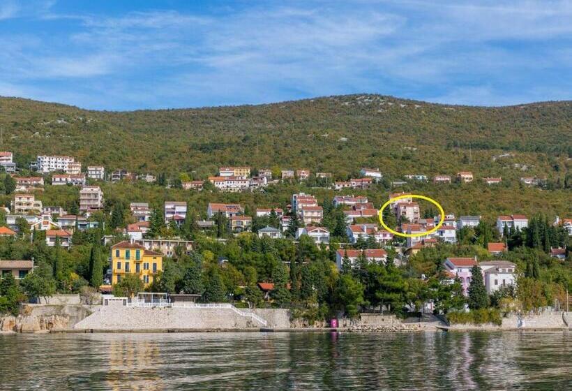 Apartment Color Green