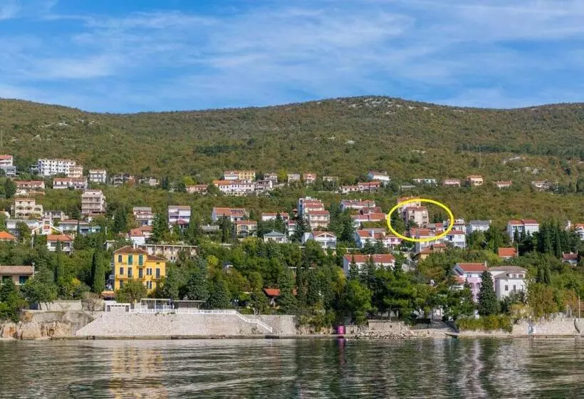 Apartment Color Green