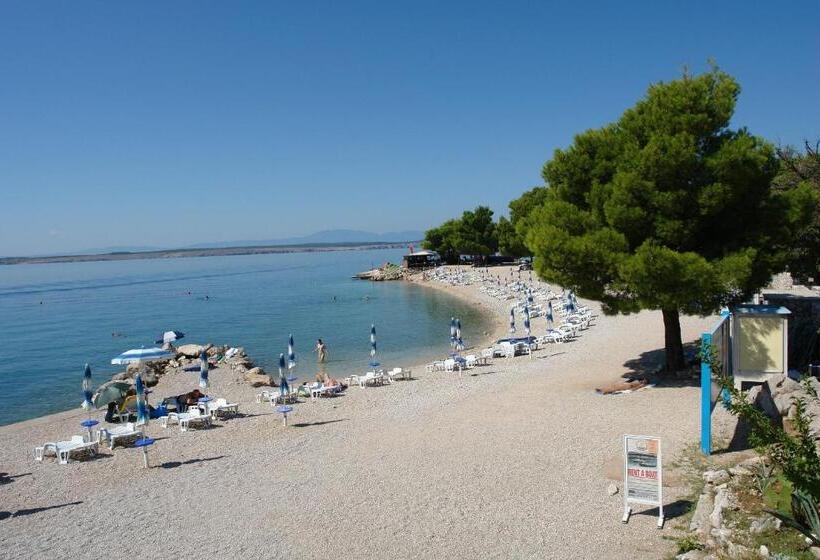 Apartment Color Green