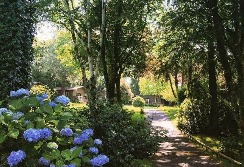 ホテル Ruthern Valley Holidays