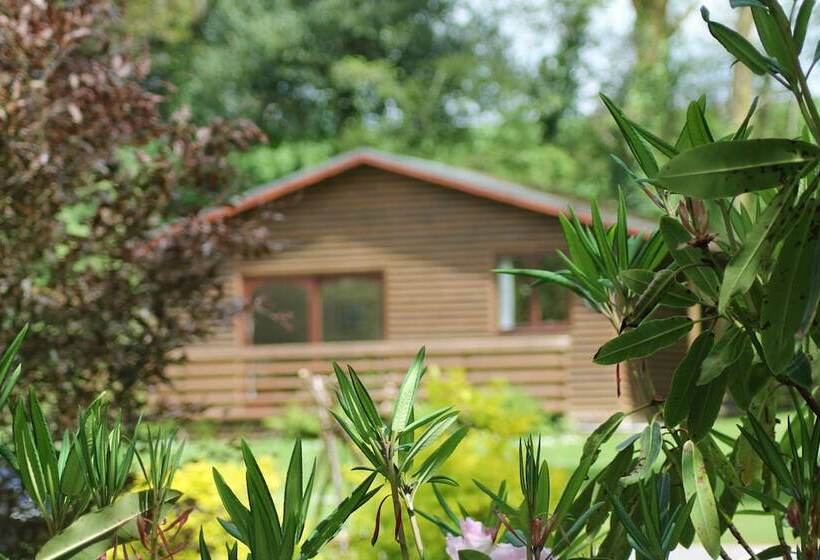 ホテル Ruthern Valley Holidays