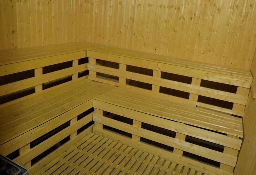 هتل Tewodros Belay International