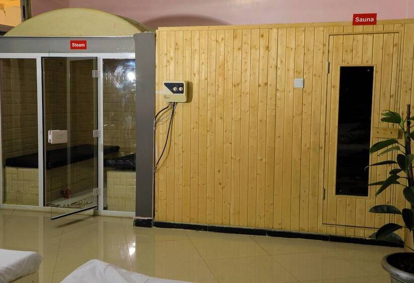 هتل Tewodros Belay International