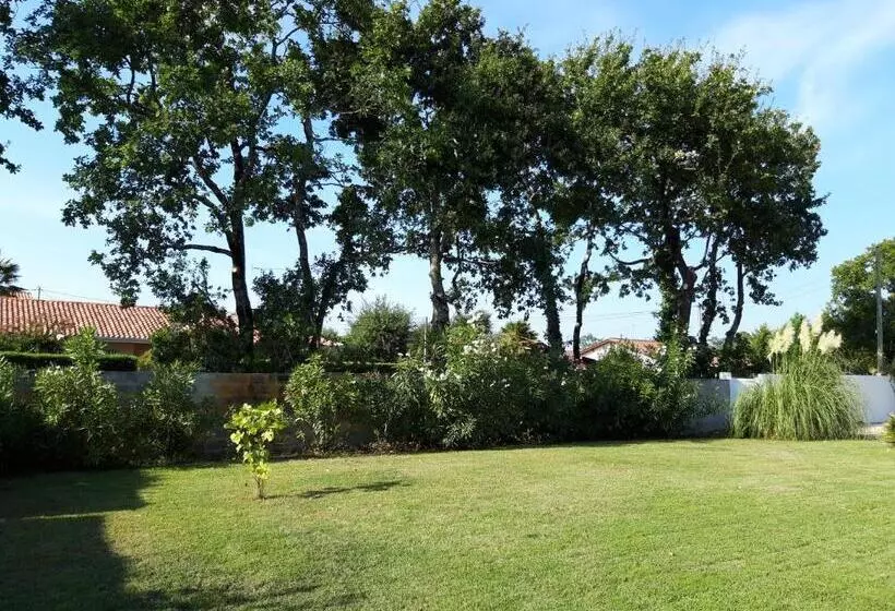 Majatalo Agréable Maison Sur Le Bassin D Arcachon