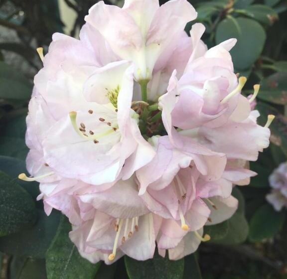 ペンション Boarding Potsdam