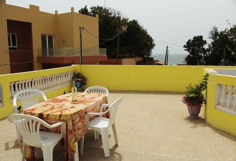 هاستل Mimosa Airport