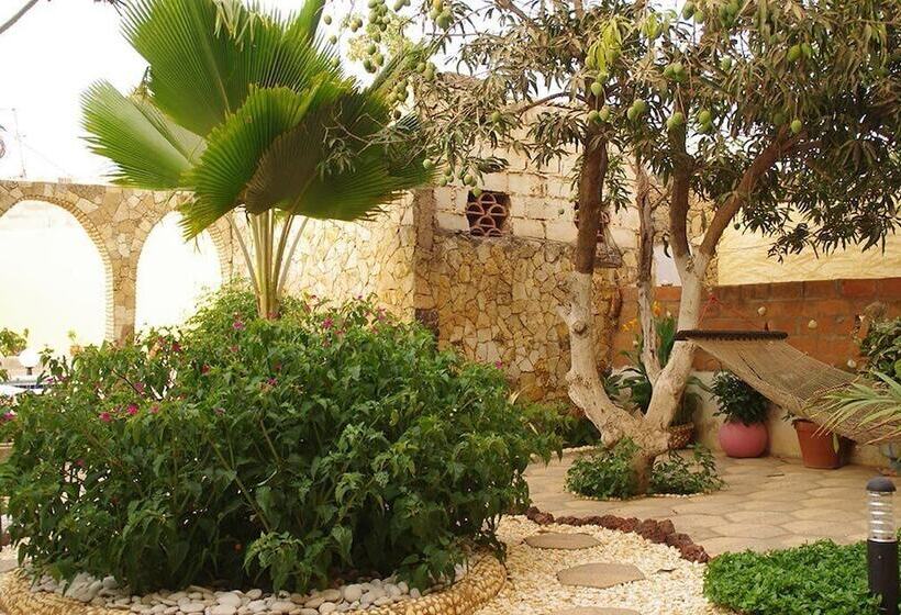 هاستل Mimosa Airport