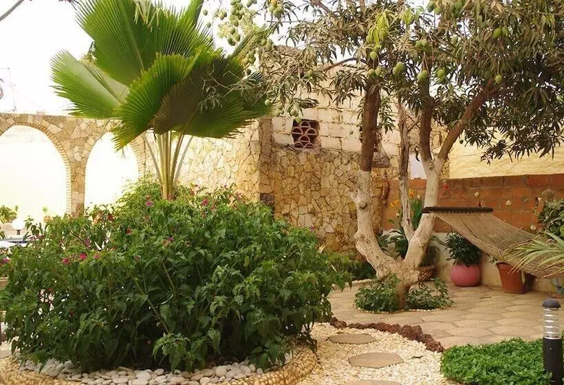 هاستل Mimosa Airport