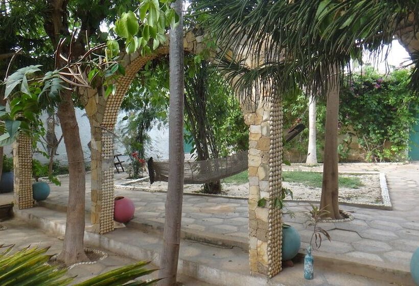 هاستل Mimosa Airport