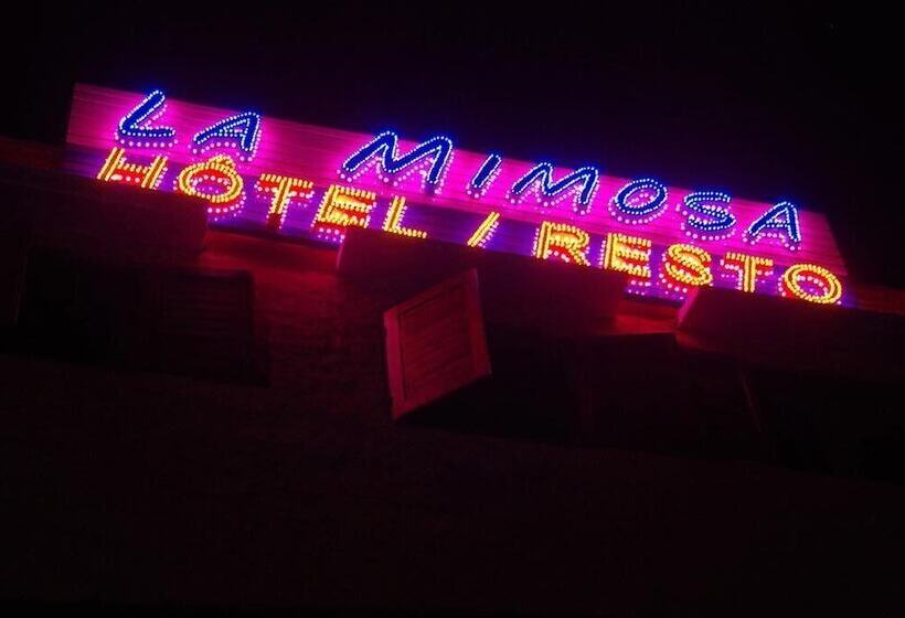 هاستل Mimosa Airport