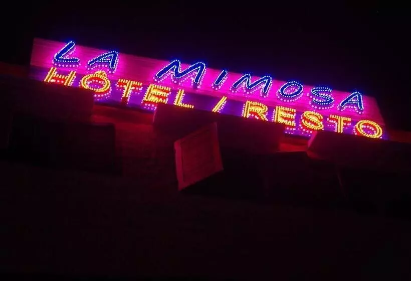 هاستل Mimosa Airport