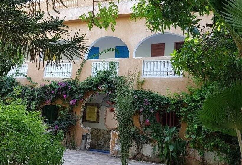 هاستل Mimosa Airport