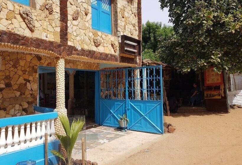 هاستل Mimosa Airport