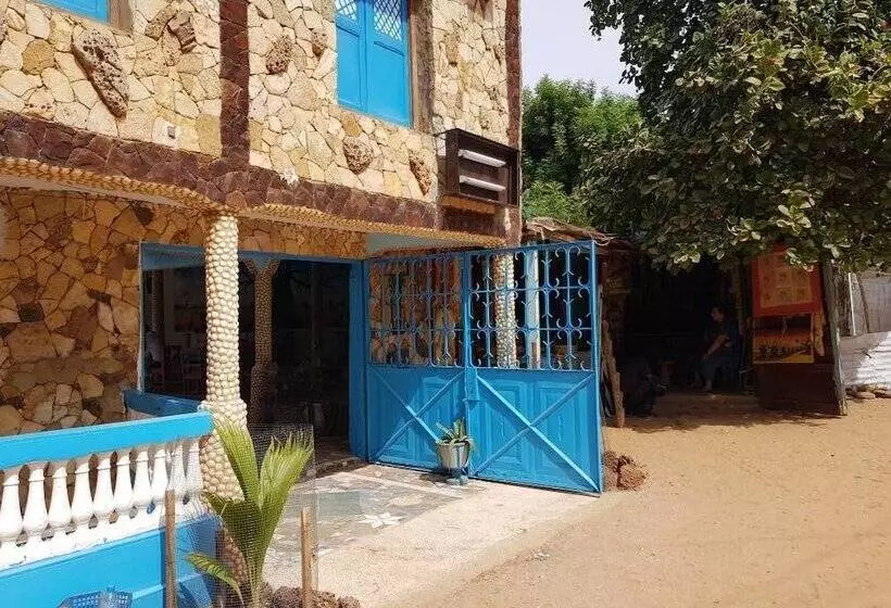 هاستل Mimosa Airport