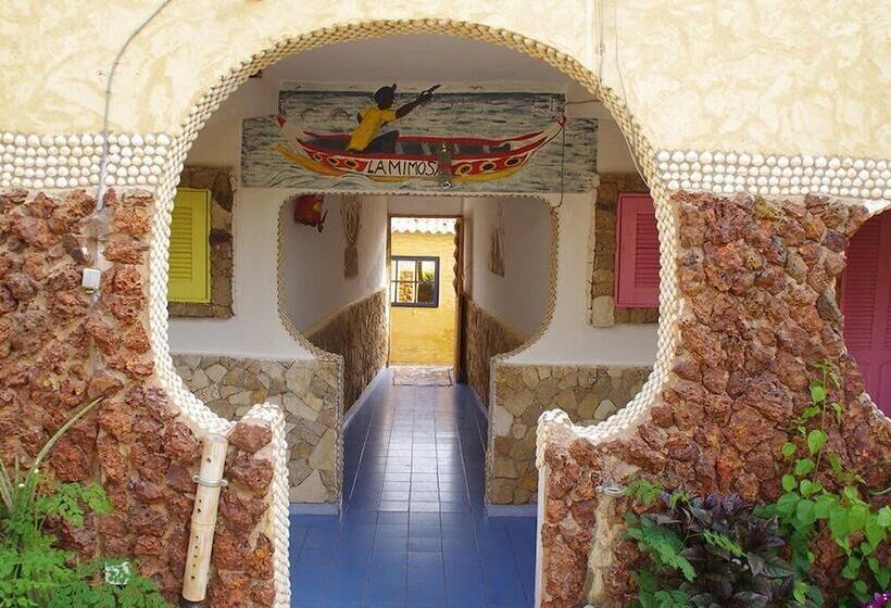 هاستل Mimosa Airport