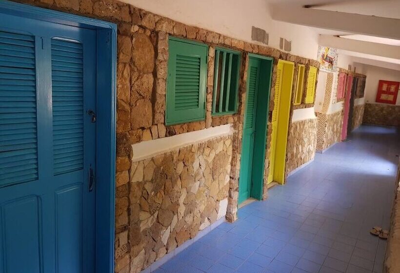 هاستل Mimosa Airport