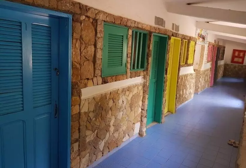 هاستل Mimosa Airport