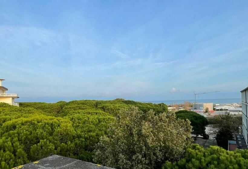 Pine Beach Hotel Rosolina Mare