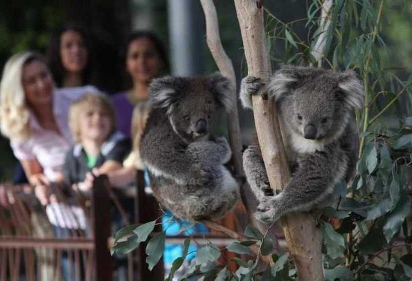 Peaceful 3 Bdr In The Heart Of Carlton