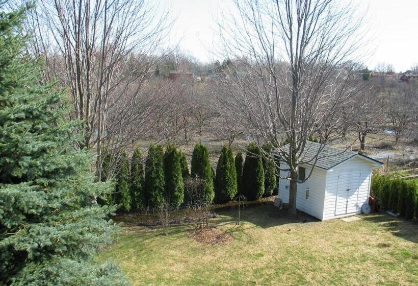 בית מלון כפרי Arnica Bed & Breakfast