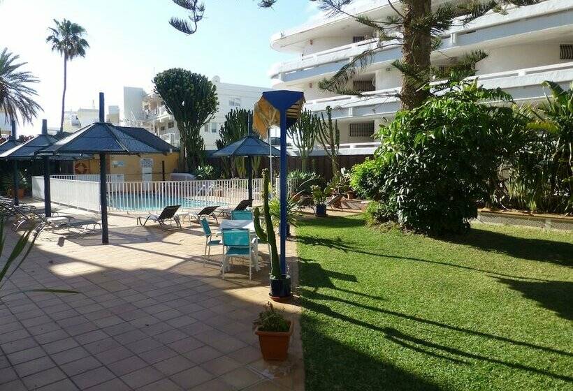 호텔 Apartamentos Belmonte