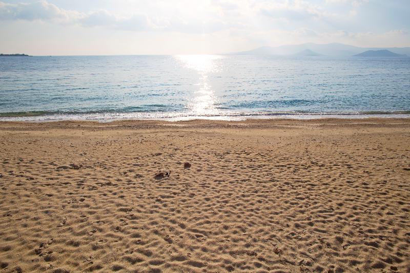 فندق Marine Dream