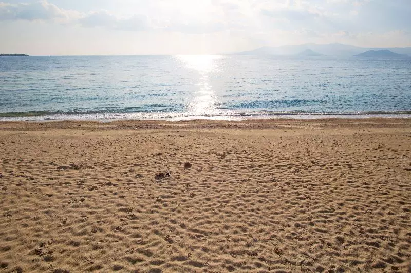 Hotelli Marine Dream