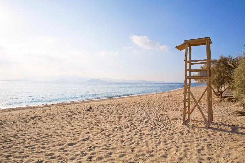 فندق Marine Dream