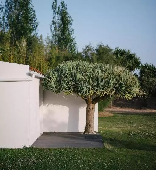 Hotelli Quinta Do Miguel