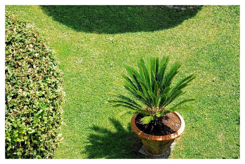 فندق Residence Il Caminetto