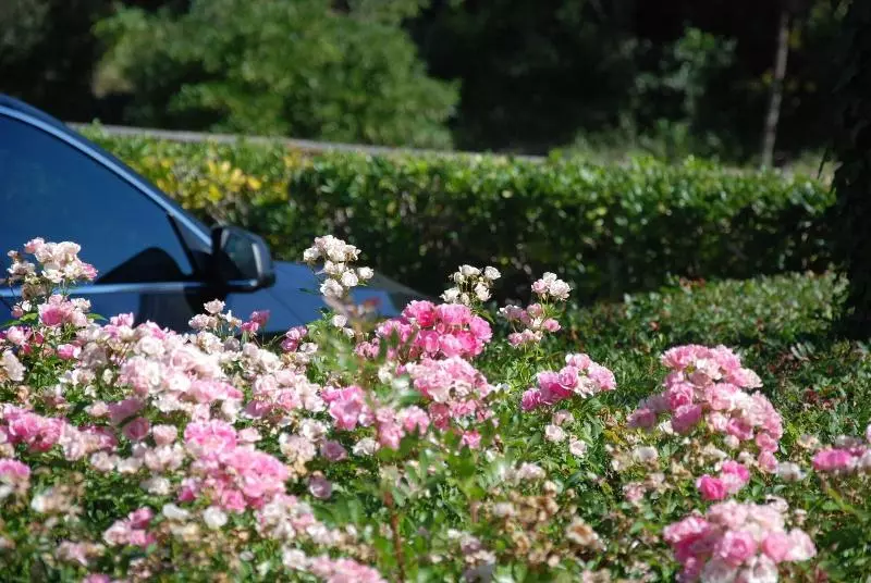 Hotelli Residence Il Caminetto