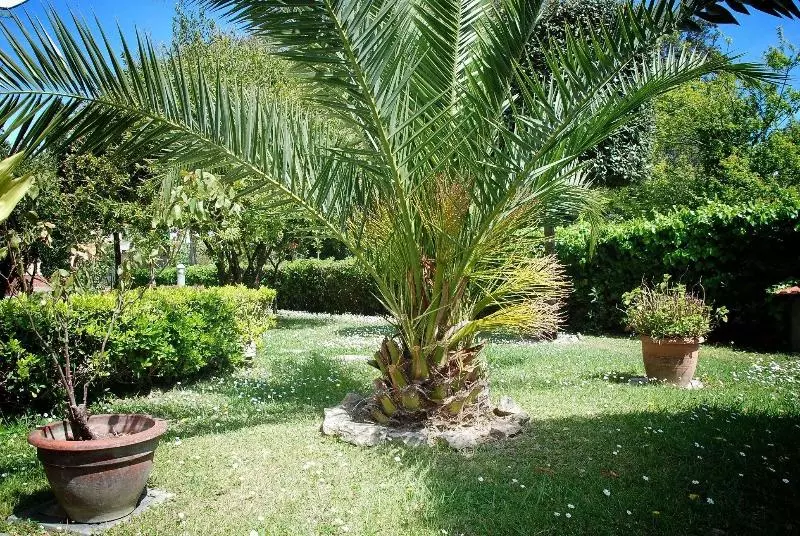 Hotelli Residence Il Caminetto