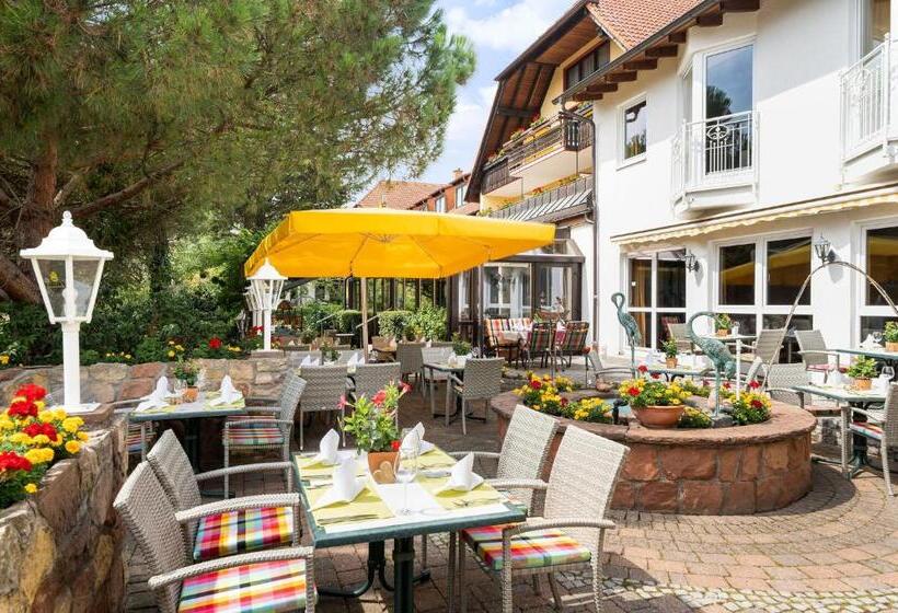 فندق Residenz Immenhof