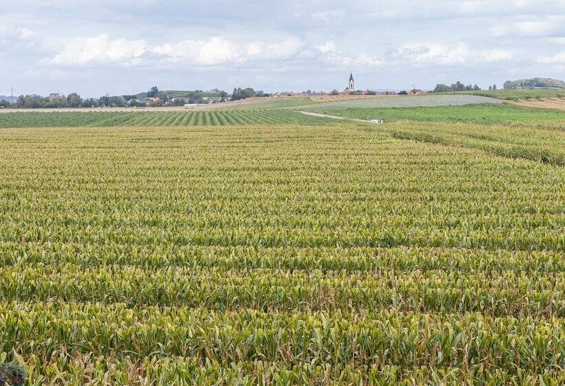 ホテル Tonis Tenne