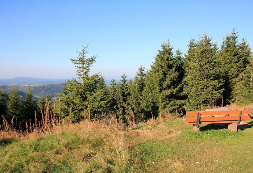 ホテル Aktiv Pension