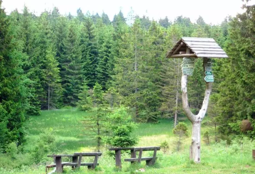 Hotelli Aktiv Pension