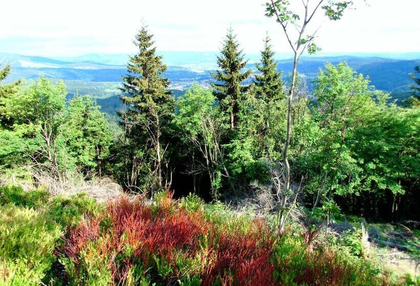 ホテル Aktiv Pension