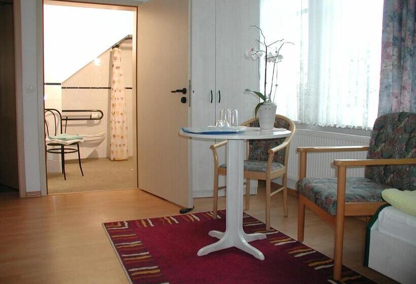 ホテル Aktiv Pension