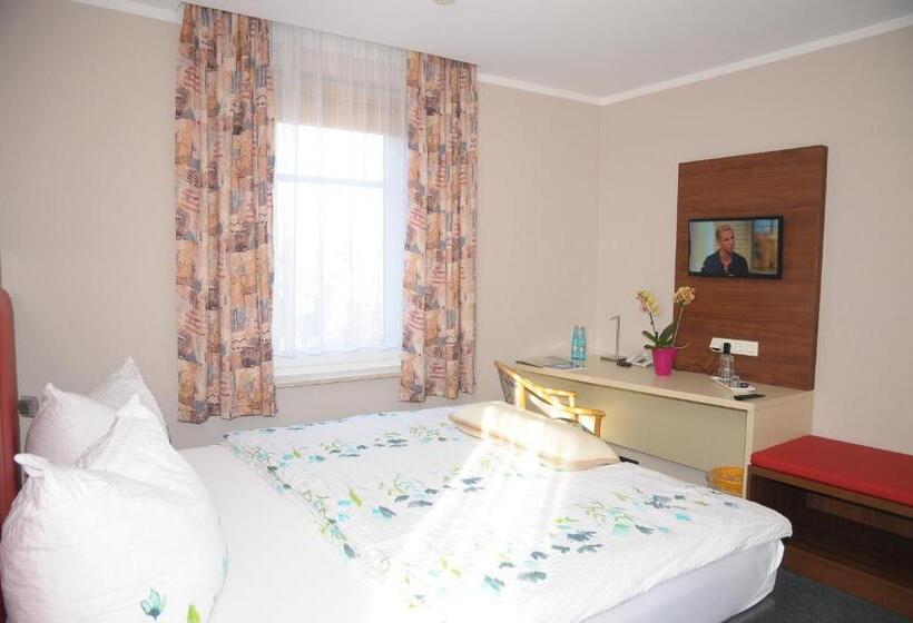 ホテル Aktiv Pension