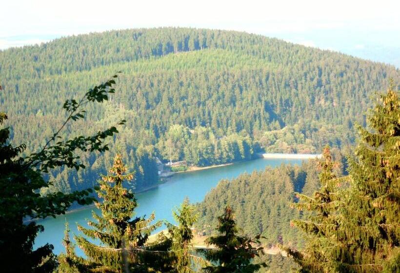 ホテル Aktiv Pension