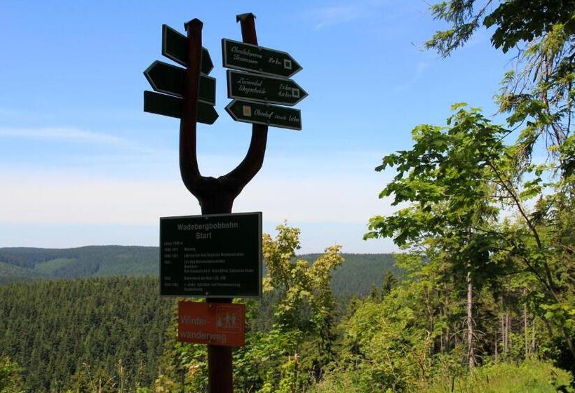 ホテル Aktiv Pension