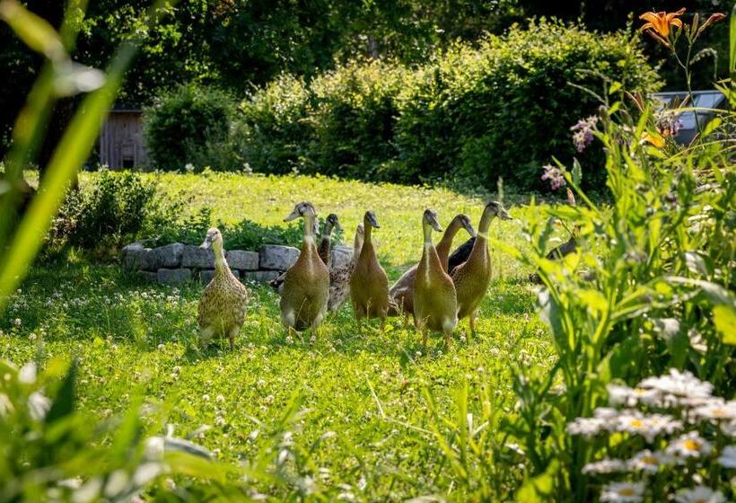 בית מלון כפרי Landgasthof Kammbräu