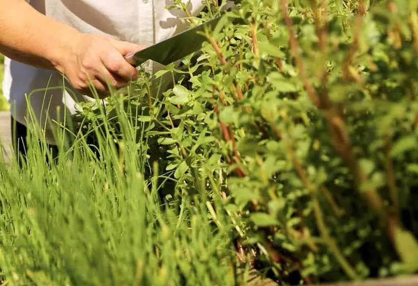 Hotelli Landgasthof Kammbräu