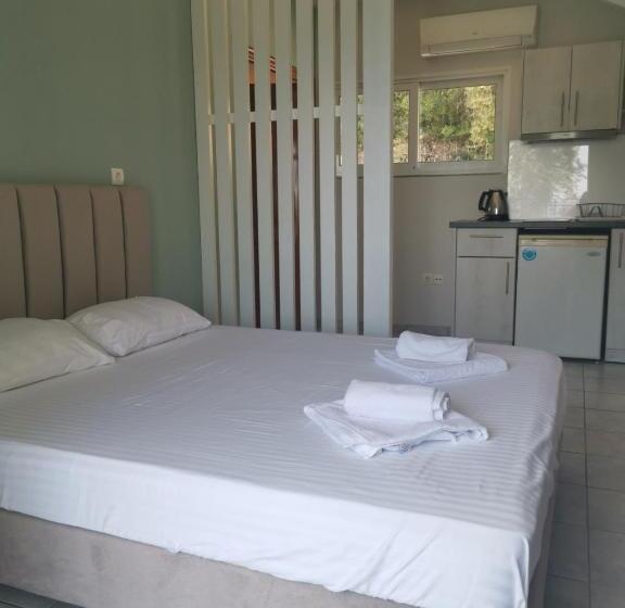 בית מלון כפרי Villa Lithitsa