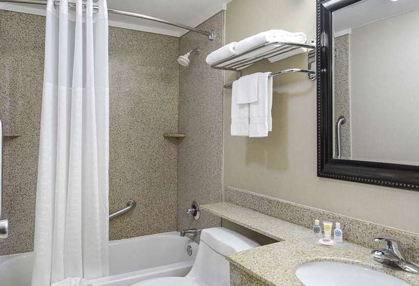 Отель Quality Inn