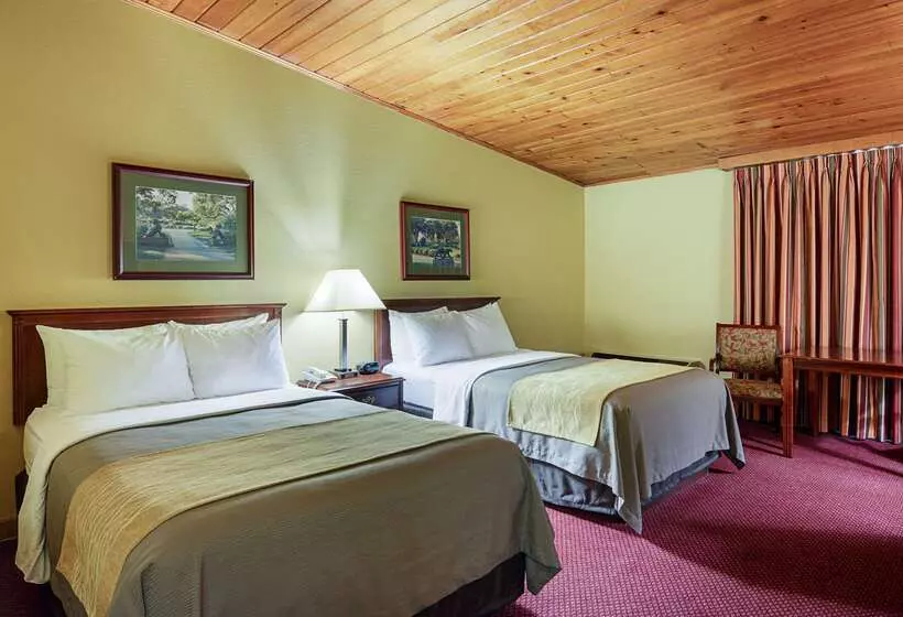 ホテル Quality Inn