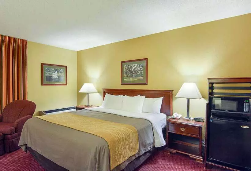 ホテル Quality Inn